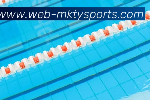 球赛投注平台生态图